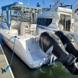 Maritime Skiff 23 Patriot