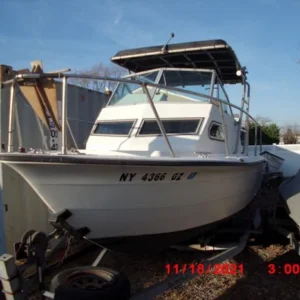 Sea Pro 220 Walk Around