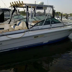 Sea Ray 270 Amberjack
